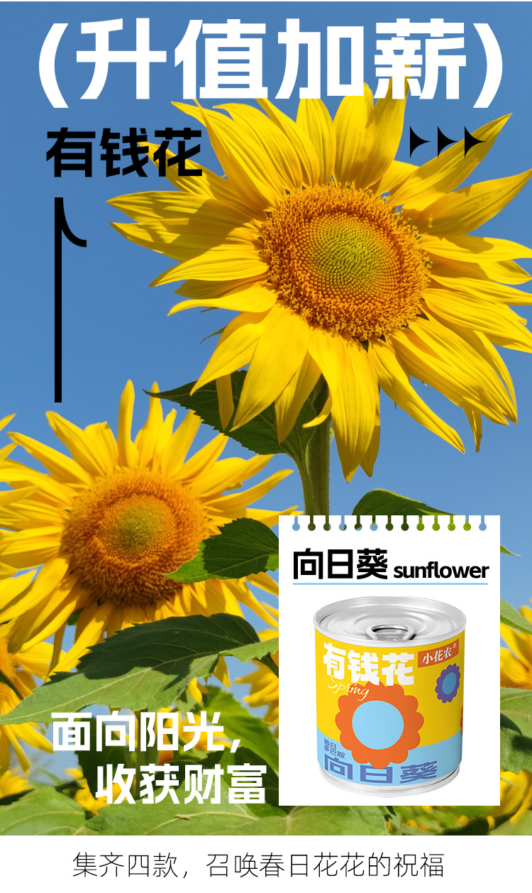 小学生科教玩具春天儿童种植迷你小盆栽花卉室内桌面种花易拉罐头详情11