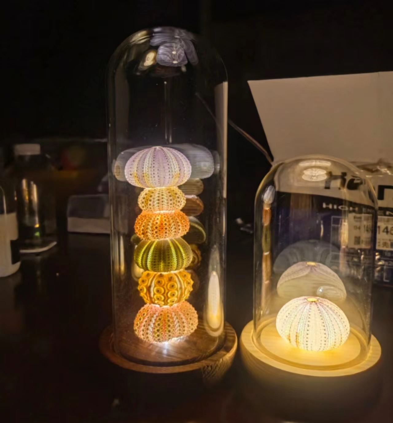 Mushroom, shell, sea urchin shell, retro atmosphere night light diy material package, birthday gift for children, decorative item pic 5