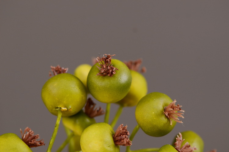 Dongli Flower Industry offers wholesale of artificial flowers for Chinese-style living room, home and dining table decoration. We provide one-piece consignment services for large branches, multi-headed artificial berries, rose fruits, small white fruits and green fruits pic 19