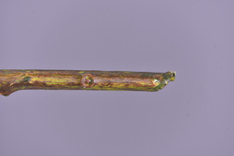 Wholesale of artificial large-branch banyan tree leaves from the original factory for window display, decorative green plants and flower arrangement leaves pic 10