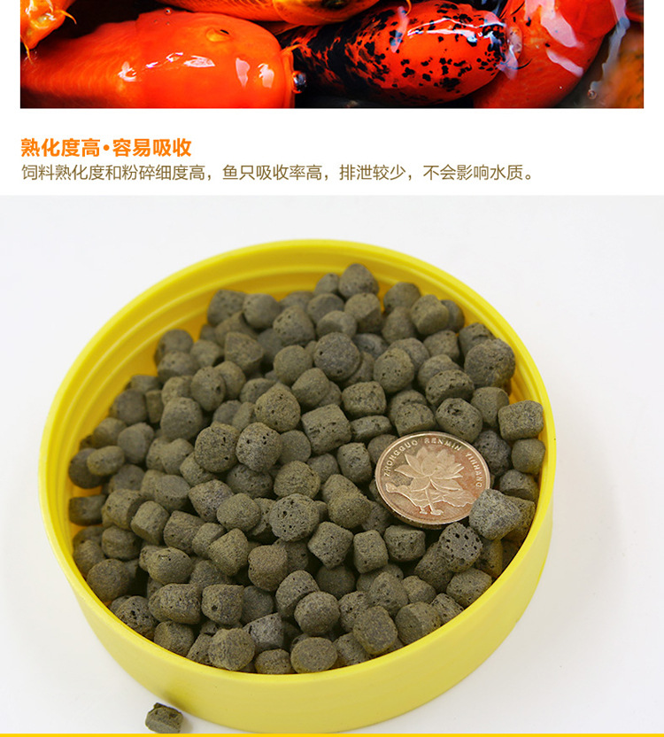 Xirui Koi fish-specific fish food grain, floating fish food, small and large pond ornamental fish feed manufacturer wholesale pic 36