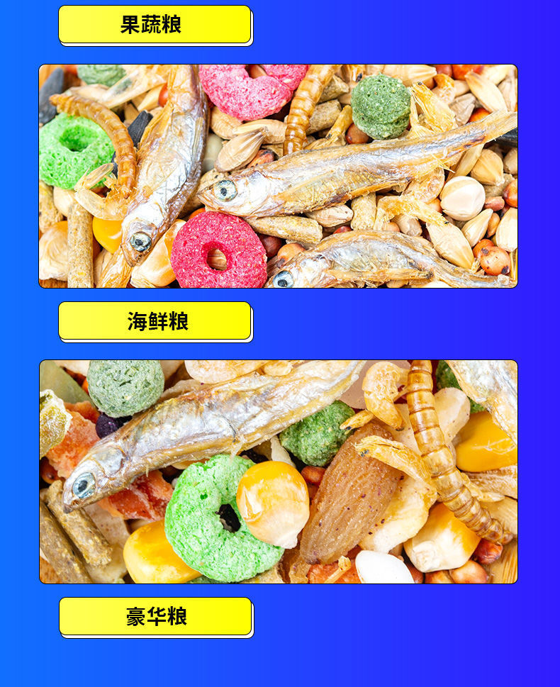 仓鼠粮食用品小套餐主粮金丝熊鼠鼠食物花枝鼠海鲜果蔬五谷豪华粮详情5