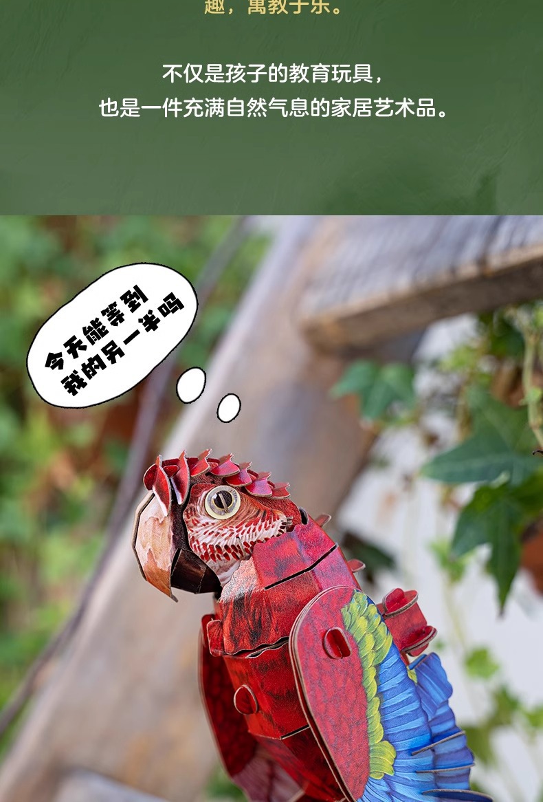 梦巴格3D立体纸拼图益智模型拼插装玩具自然科普动物手工金刚鹦鹉详情8