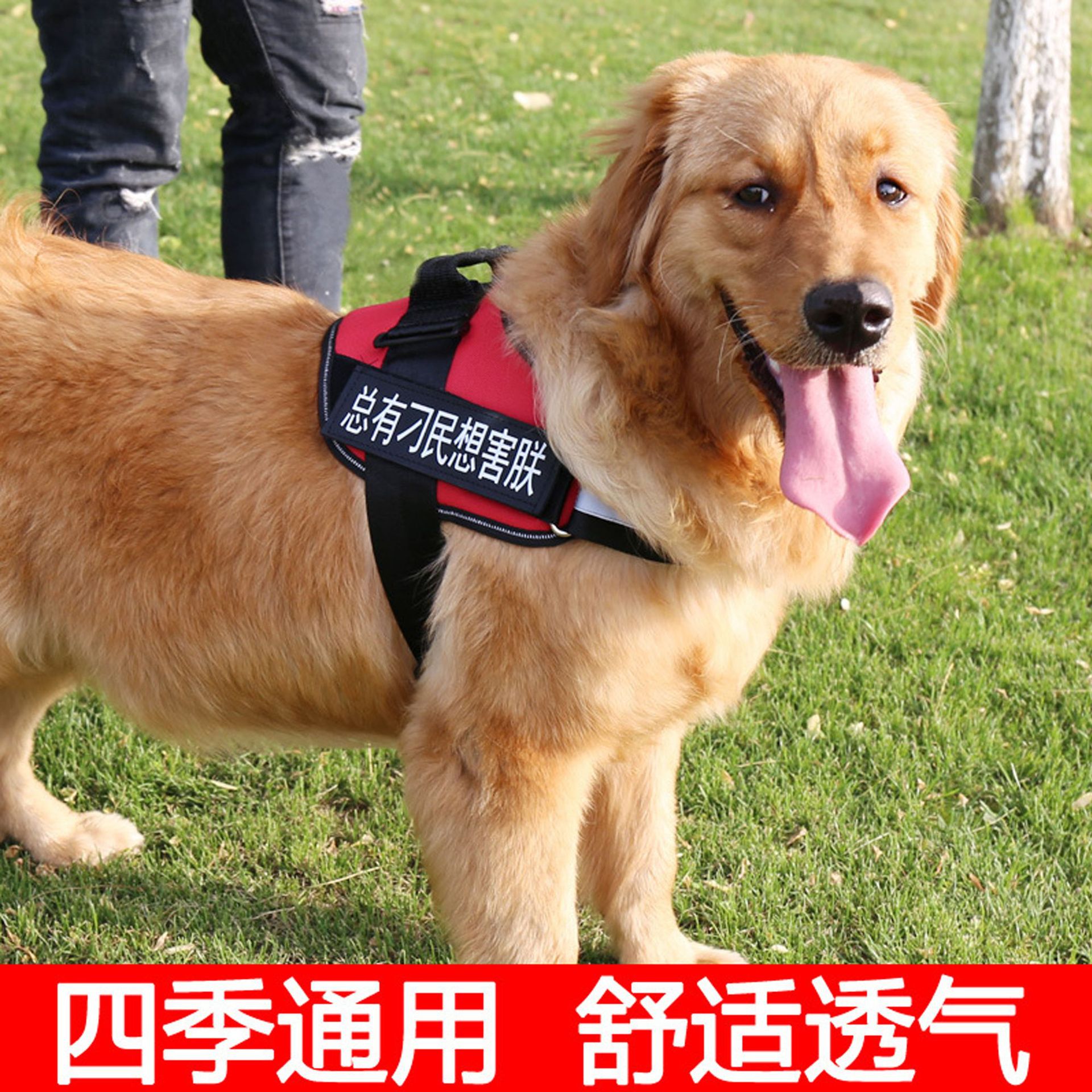 宠物胸背带 夜间反光狗背带详情8