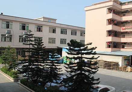 儿童雨伞定制logo卡通弯柄反光印字手动发光幼儿园招生礼品长柄伞详情34