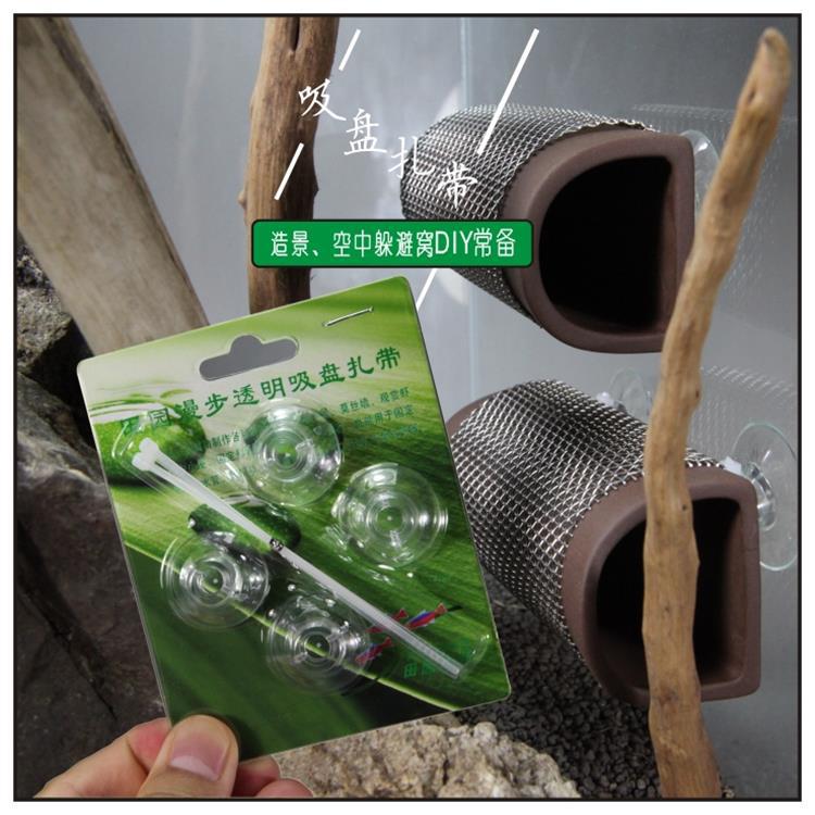 优质高透明扎带吸盘 进出水固定创意莫丝片莫斯墙制作 固定悬浮球详情1