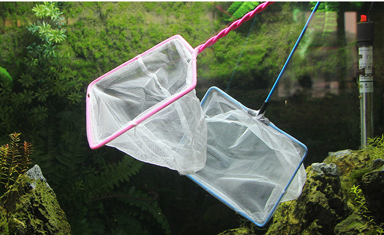 6-inch fish-catching net fish tanks, fishing net bags, golden fish tanks, hand-drawn net fish tanks, aquarium supplies wholesale pic 34