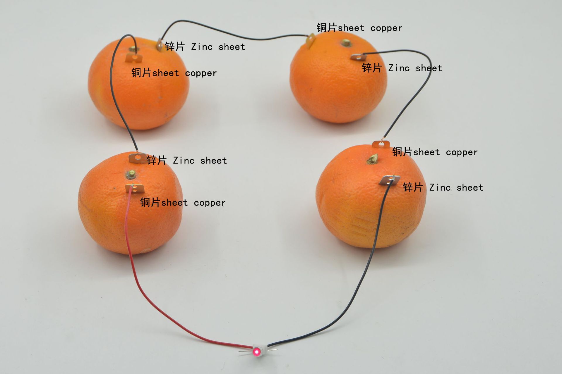 跨镜外贸电路实验趣味物理发电教具水果发电科学STEM水果电池航达详情19