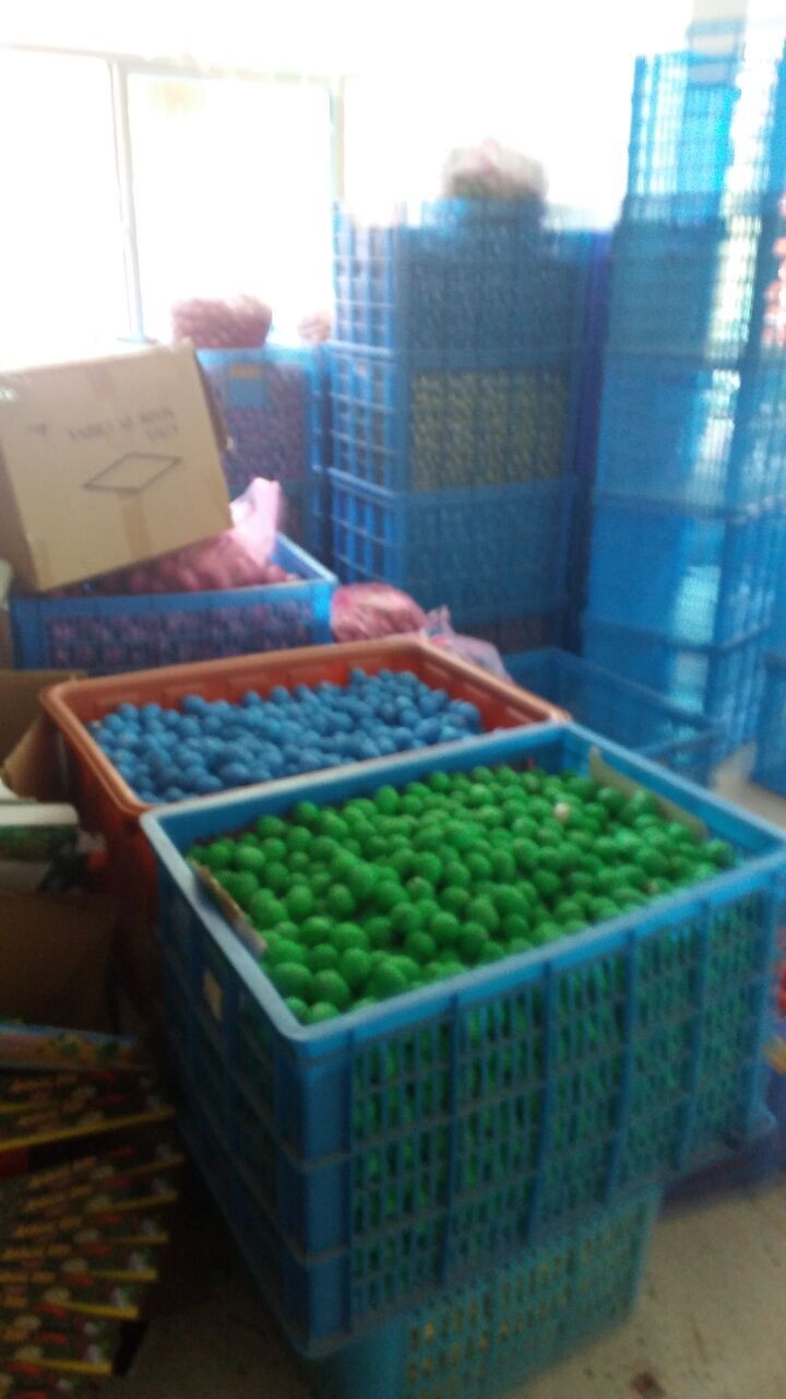 【厂货通】泡水膨胀中号恐龙蛋儿童玩具孵化蛋益智早教 48个/盒详情39