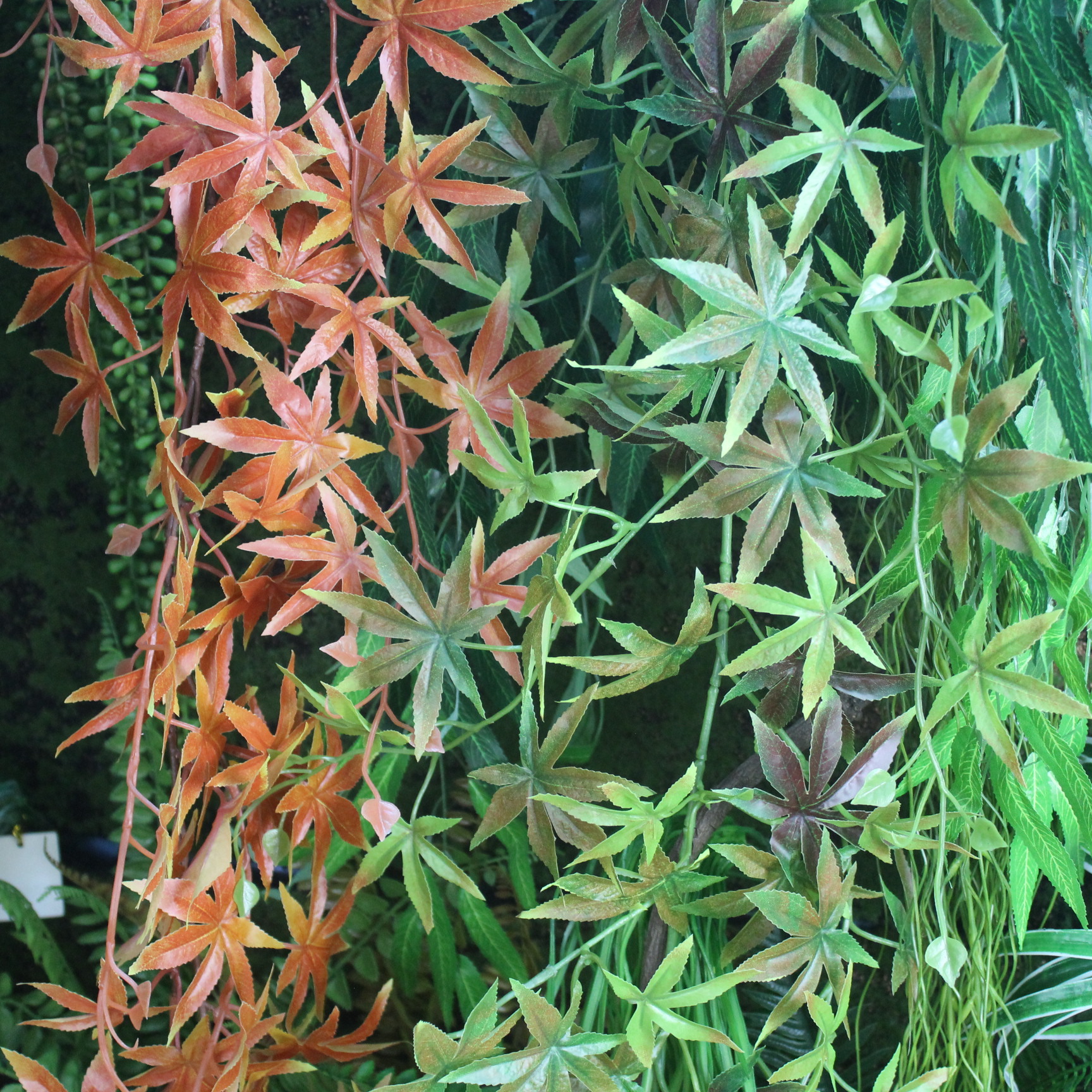 Simulated rubber red maple strips, green maple strips, high-end simulated rubber leaf strips, plastic strips, hand feel, direct sales from the manufacturer of red maple strips pic 26