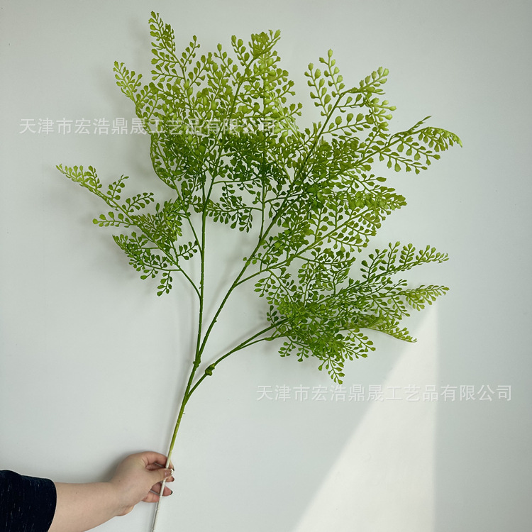 微信图片_2023040214504513_副本