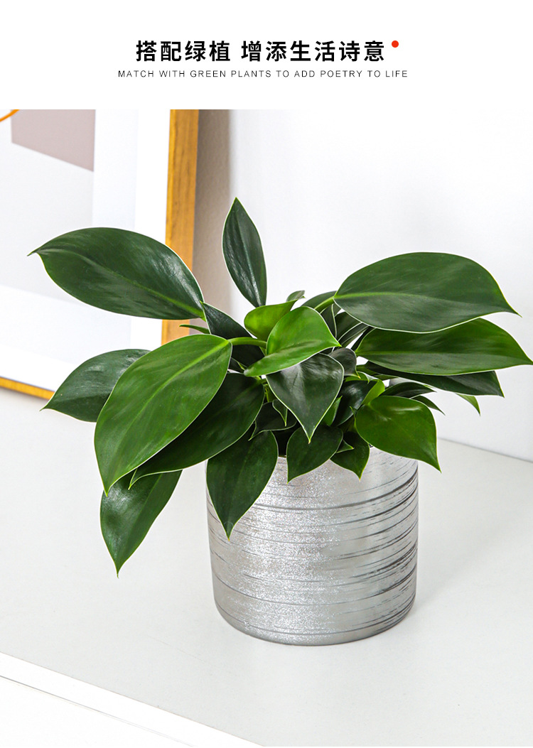 Chinagoods Du Qi Hotel supplies: European-style simple and creative ceramic brushed, gold-plated and silver succulent combination export flower POTS, handicrafts and flower vases pic 7