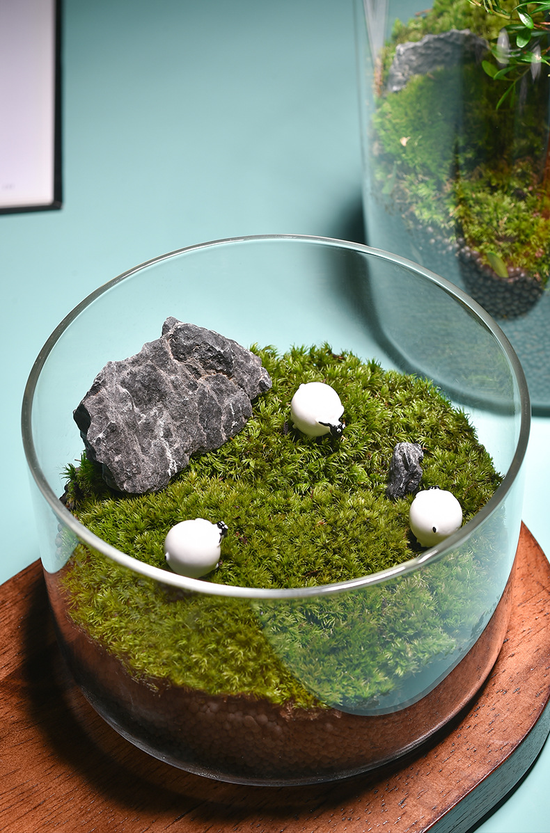 Wholesale transparent micro-landscape glass vase ornaments, hydroponic ecological bottles, diy moss tanks, succulent flower POTS, glass jars pic 17