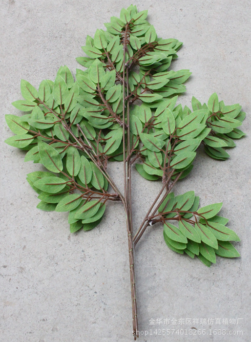 XRB-097豆花叶三叉枝红色杆4