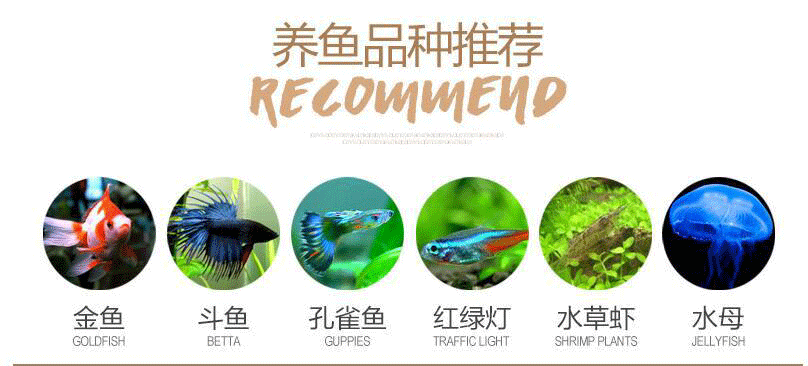 The desk mini aquarium creative desktop LED lighting can filter ecological acrylic fish tank aquarium pic 7