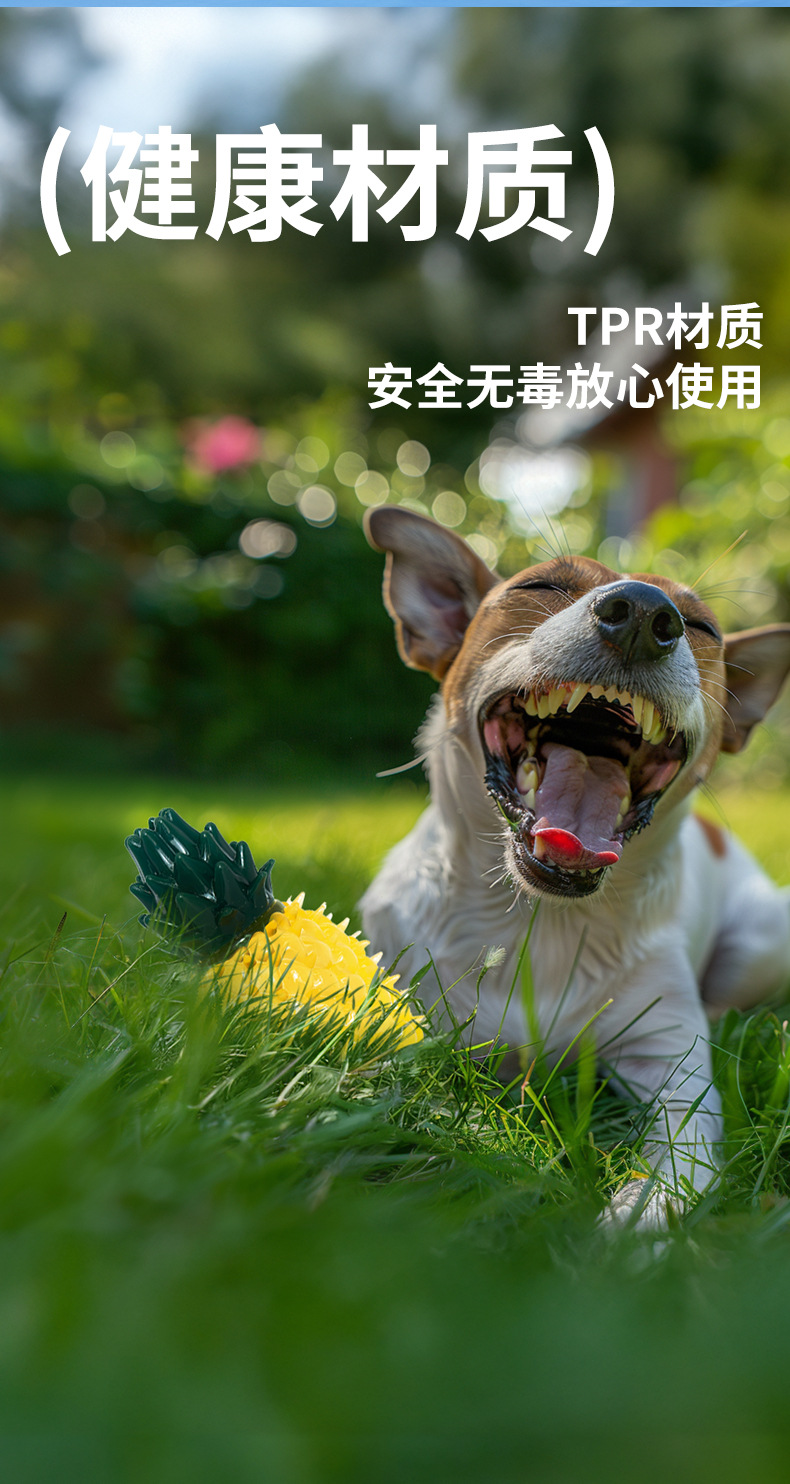 Pet frozen fruit series: Non-toxic and environmentally friendly dog teeth grinding and cleaning water, chilled lemon, cool and sound-making toys pic 3
