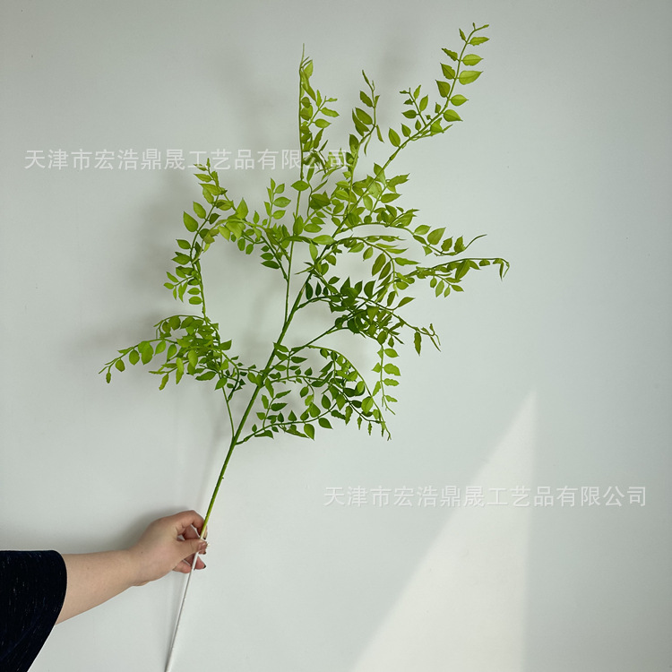 微信图片_202304021450455_副本
