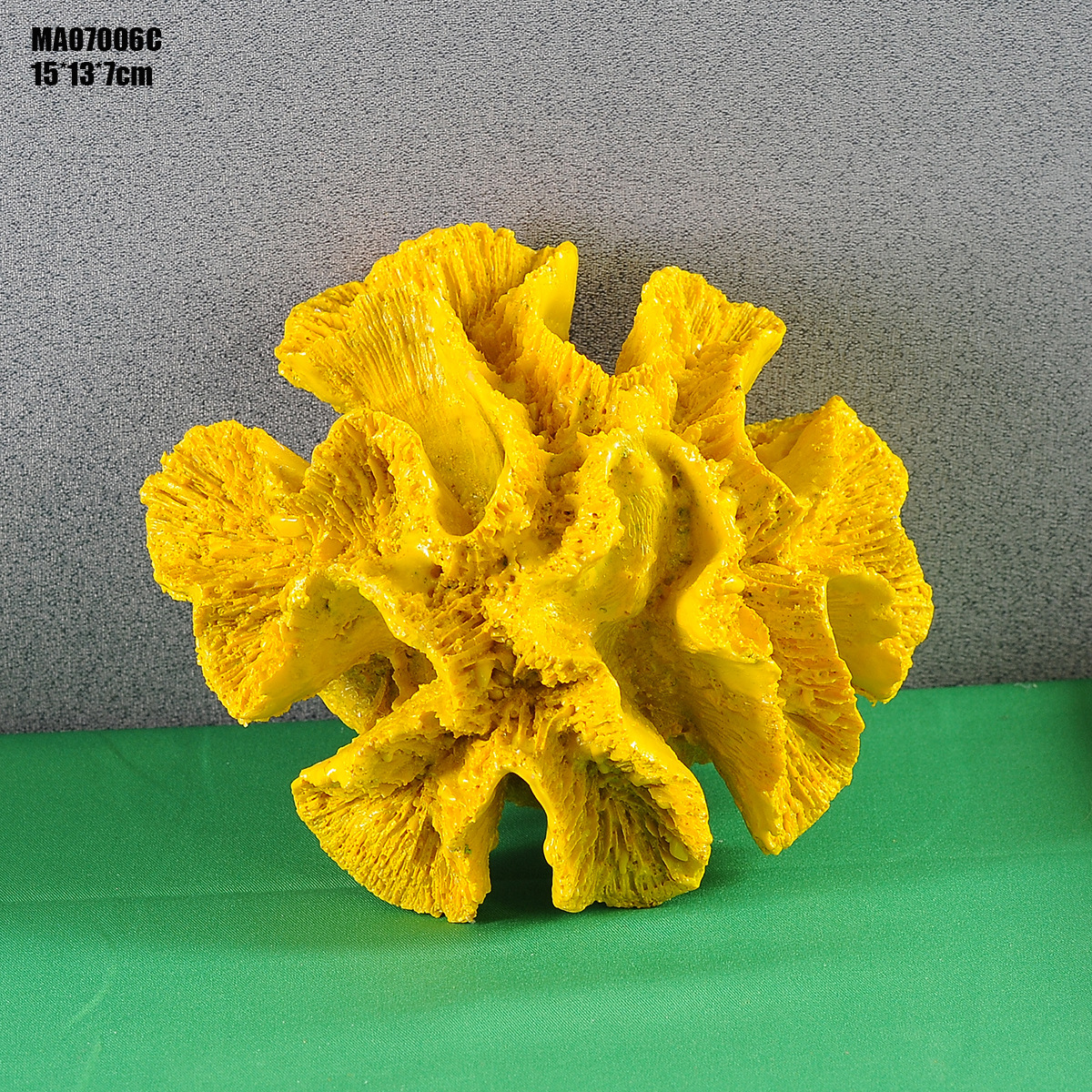 MA07006C