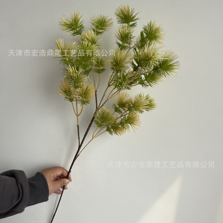 微信图片_20240328092921_副本