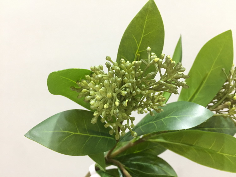 Dongli Flower Industry Factory offers direct sales and wholesale of indoor artificial green plants, home artificial flowers, cloves, bean branches, soft gum fruits, seeds and branches pic 11