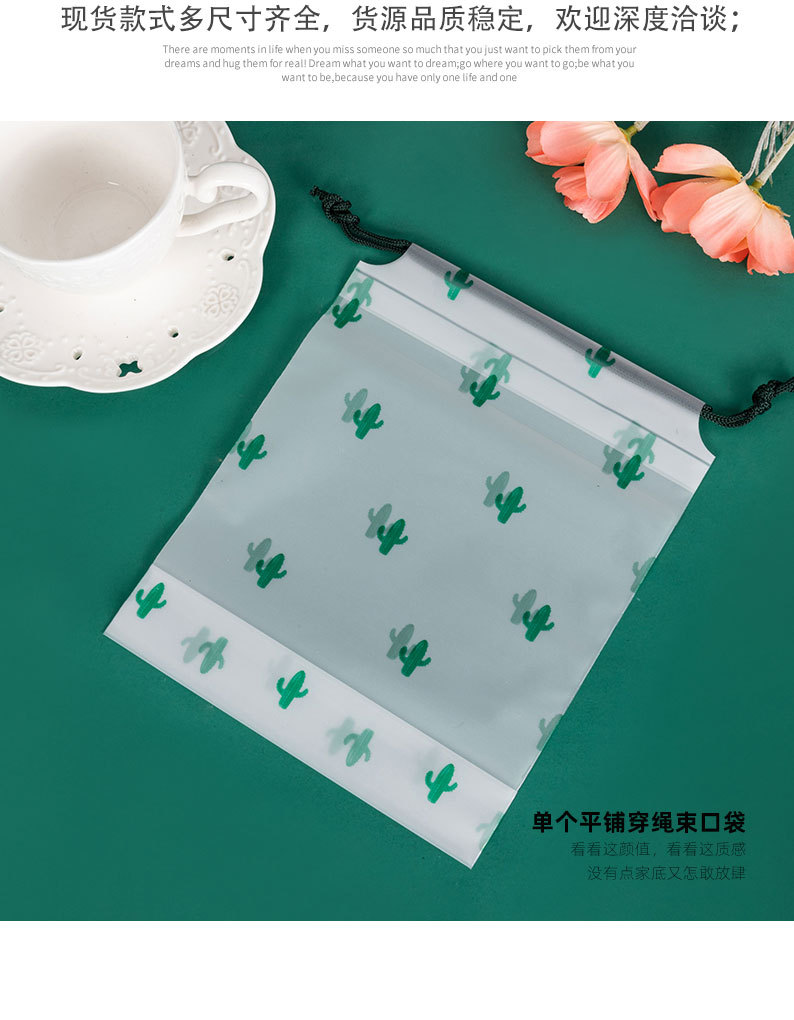 仙人掌束口袋现货_13.jpg