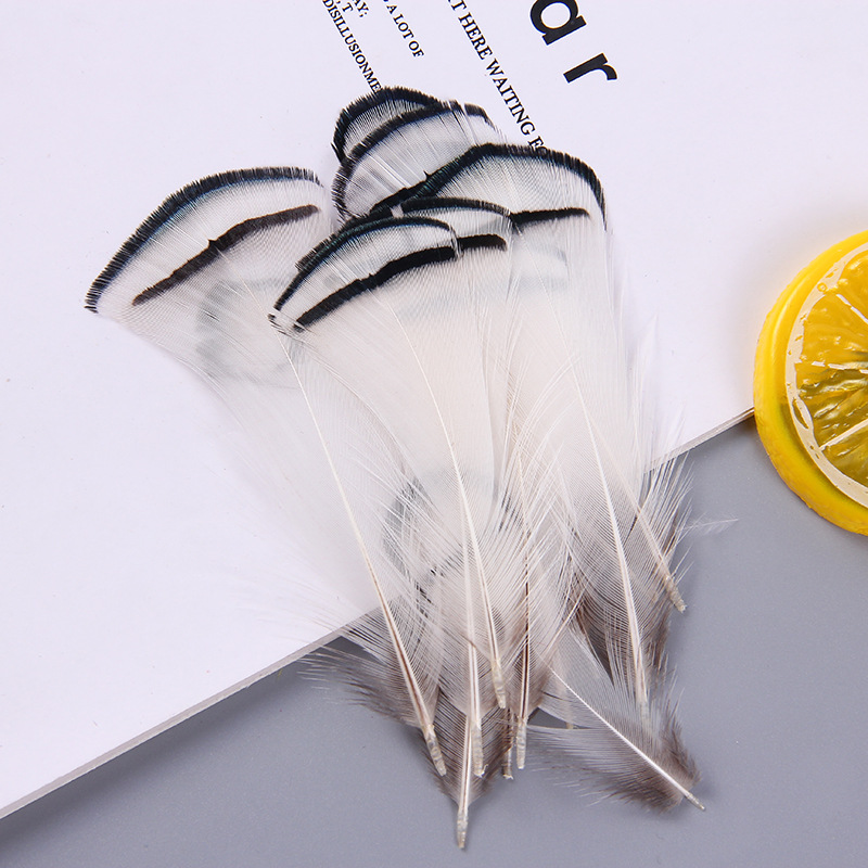 厂家批发珍珠鸡毛彩色羽毛 服装DIY手工工艺品饰品耳环材料野鸡毛详情23