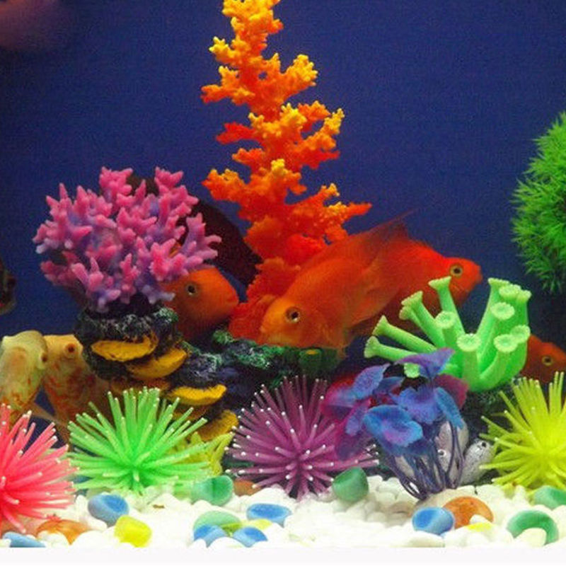 Wholesale supplier of aquarium filter and fish tank filtration equipment RS-1000F pic 22