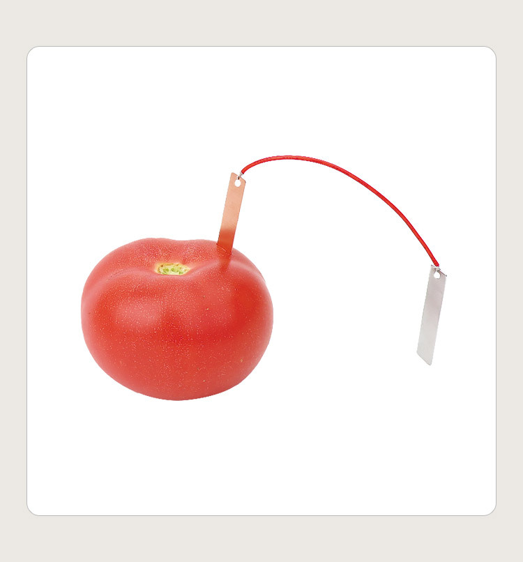 自制水果电池小学生diy科技小制作 锌铜片发电物理实验器材材料包详情6