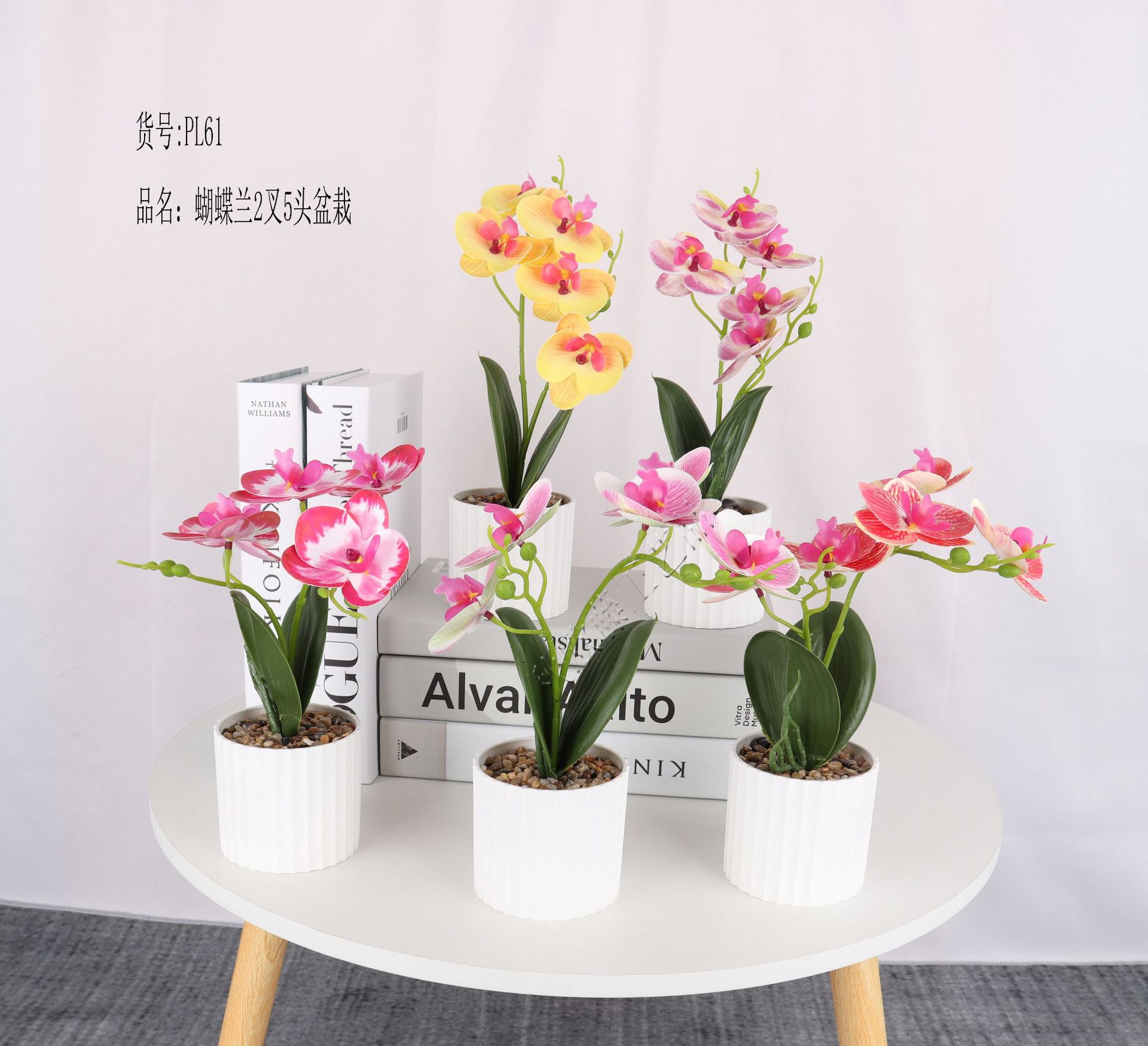 仿真3D蝴蝶兰2叉5头盆栽/仿真盆景/仿真花创意内室小摆件/亚马逊详情1