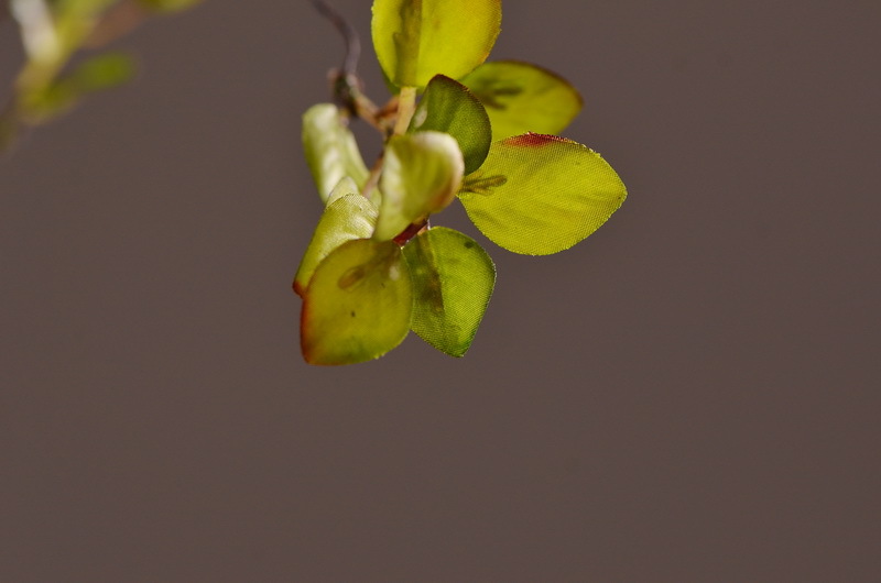 Flower Knowledge, simulating spring rain leaves, New Chinese-style Zen-inspired soft furnishings, flower leaf materials, simulating touch, autumn leaves, home decorations, floral art pic 5