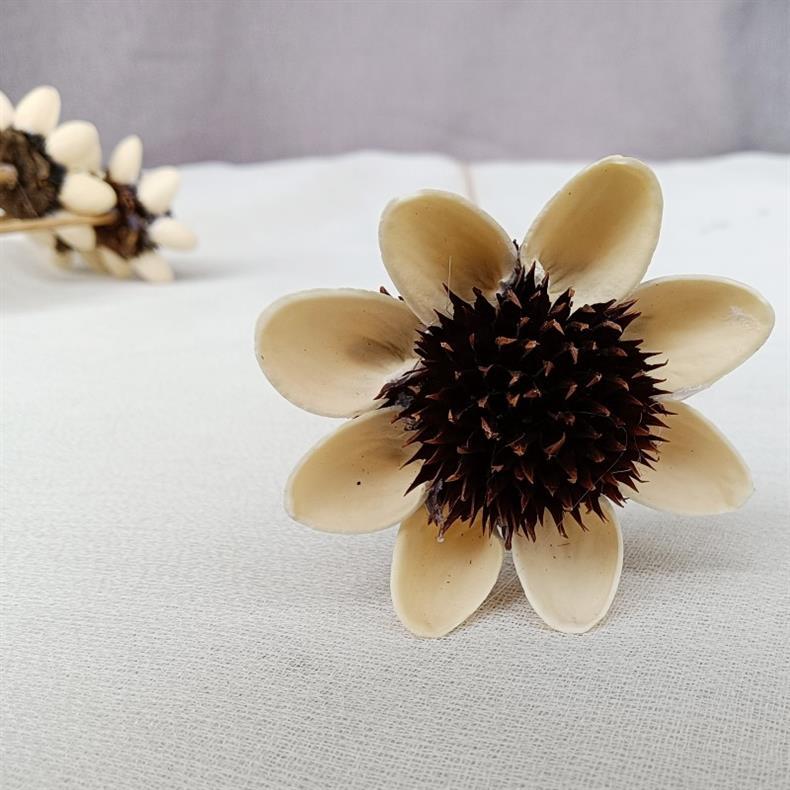 万花丛影2023永生花diy手工花太阳花干花插花手工制作详情7