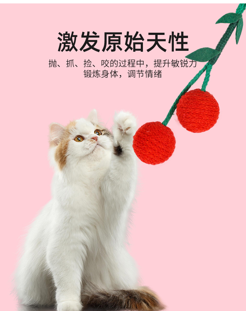 猫咪自嗨解闷耐咬宠物玩具 水果麻绳球毛线水果造型逗猫棒 猫玩具球玩具 猫咪专用详情6