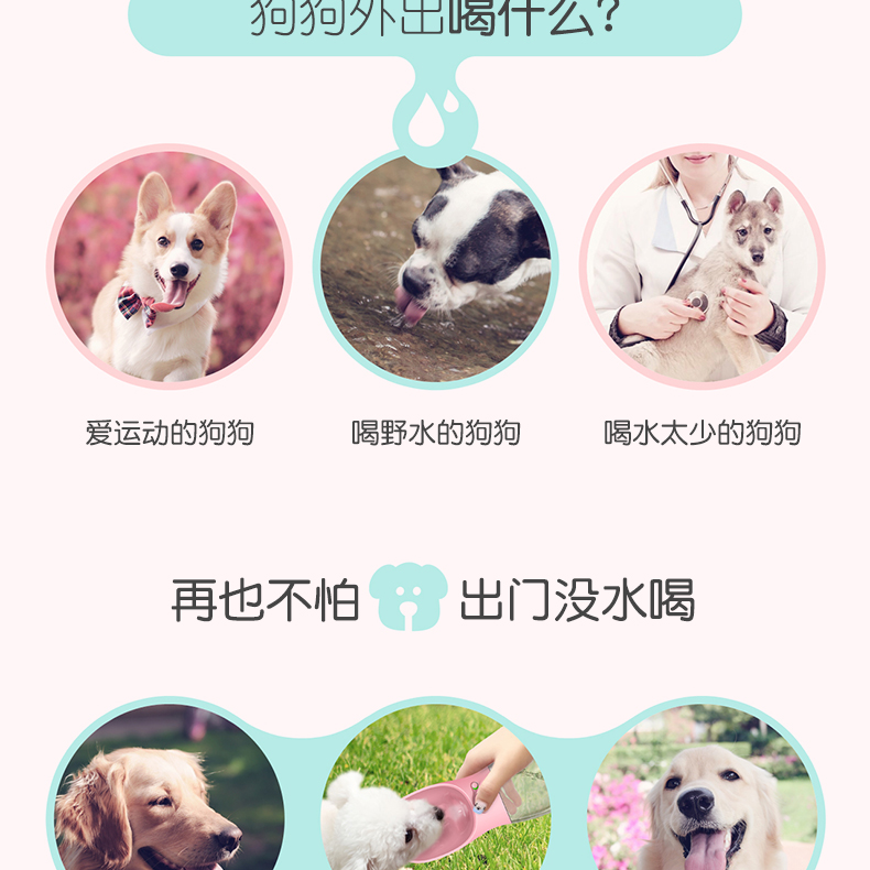 亚马逊宠物饮水杯外出随行杯户外便携式狗饮水器现货批发详情14