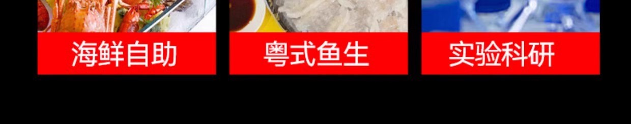 制冰机商用全自动海鲜刺身火锅实验室用颗粒制冰机碎冰机详情7