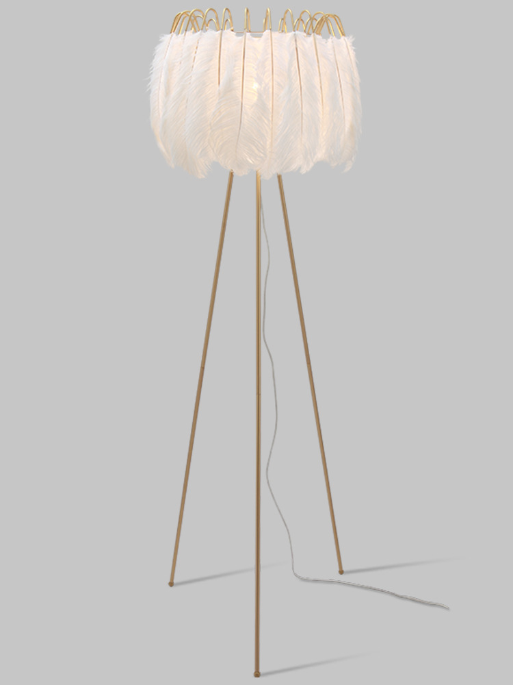 Factory direct sales, popular American-style feather floor lamps, princess bedroom ostrich feather lamps, light luxury European-style living room floor lamps pic 19