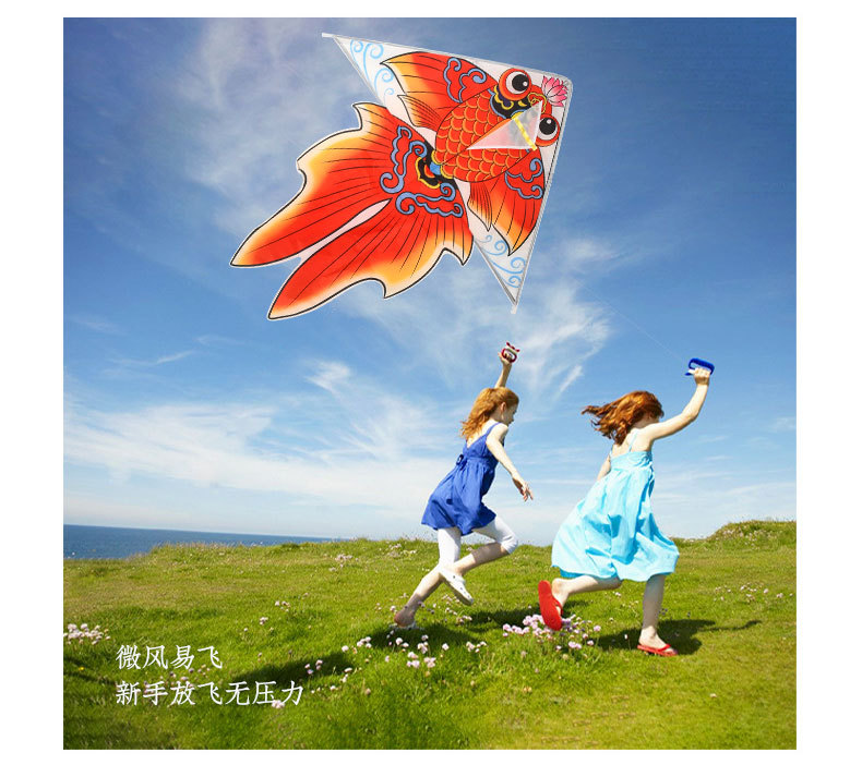 端午节新款风筝涂鸦手工传统沙燕成人金鱼醒狮儿童节diy风筝批发详情7