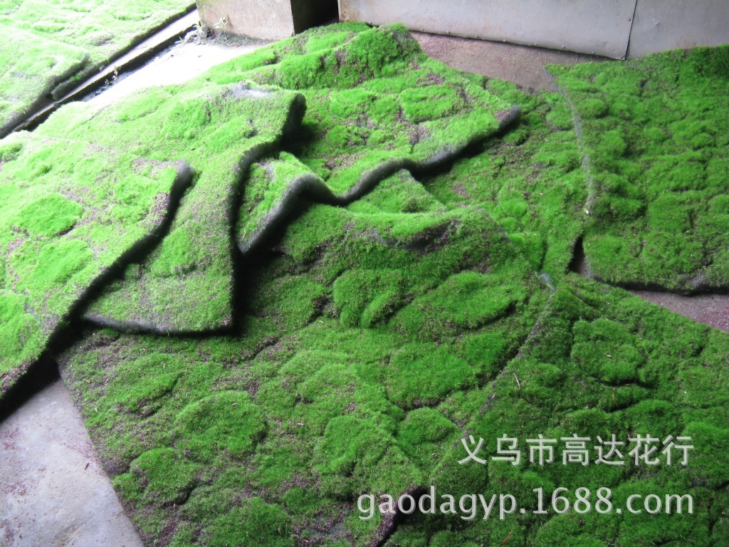 Artificial plant wall, moss skin, plant wall, grass decoration, indoor window display decoration, DIY trendy decoration, lawn pic 28