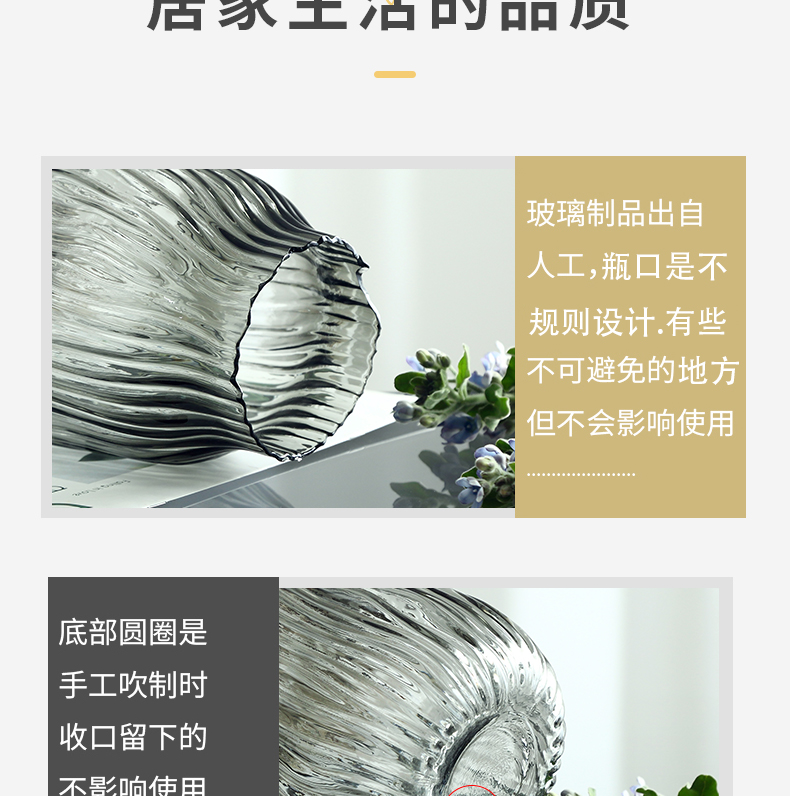 纳纶大号玻璃花瓶透明水养富贵竹百合花瓶摆件客厅插鲜花干花北欧详情4