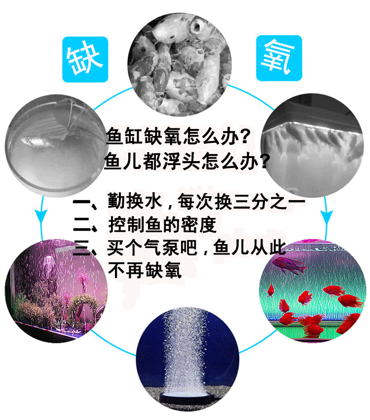 鱼缸氧气泵养鱼增氧泵双孔透明气泵水族箱充氧机批发RS-628A详情23