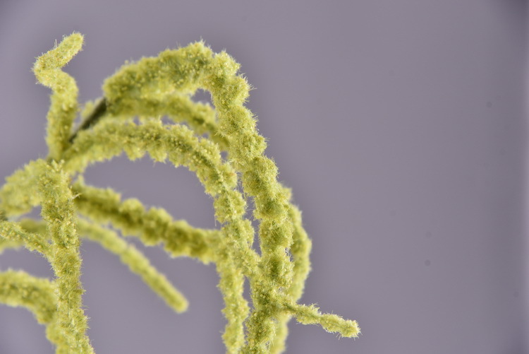 Dongli Yiwu Source Quality Products, high-end artificial flowers, hanging chicken tail tassels wholesale, artificial reeds, artificial flowers, artificial green plants, mouse tail model house home decorations pic 21