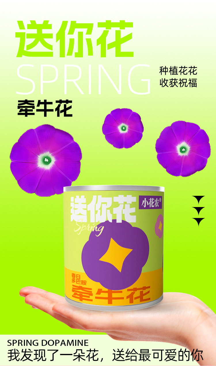 小学生科教玩具春天儿童种植迷你小盆栽花卉室内桌面种花易拉罐头详情7