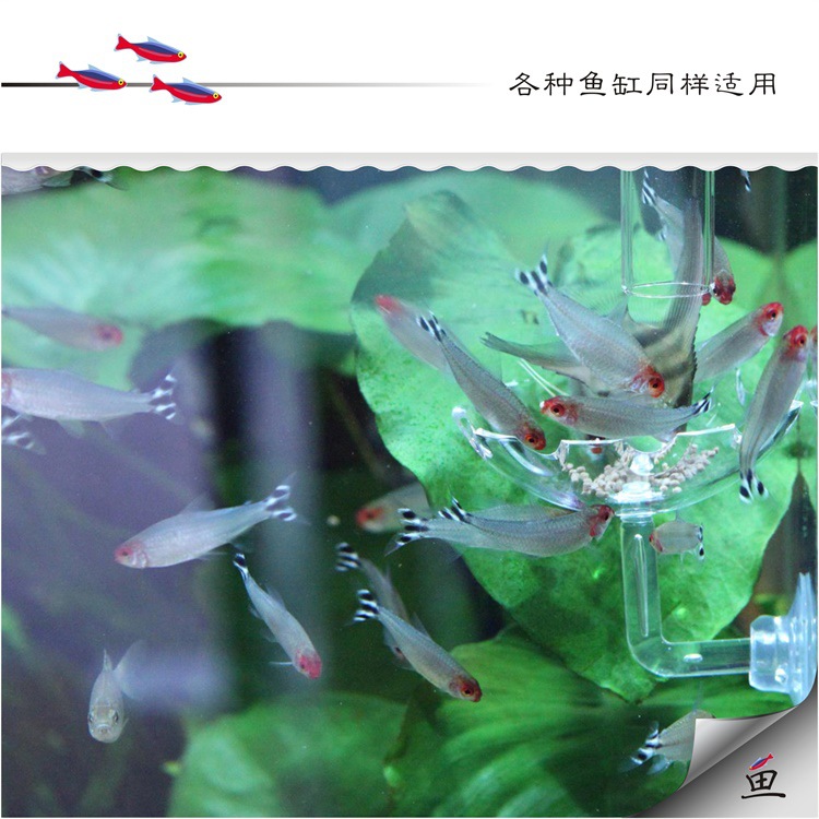 Ornamental fish and shrimp feeding tubes, aerial feeding basins, aquatic plant tanks, fish tanks, crystal shrimp tanks, acrylic feeders pic 10