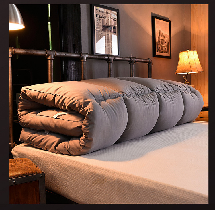 Wholesale of plush soft mattresses, 10cm thickened three-dimensional mattresses for five-star hotels, and student dormitory quilts pic 13