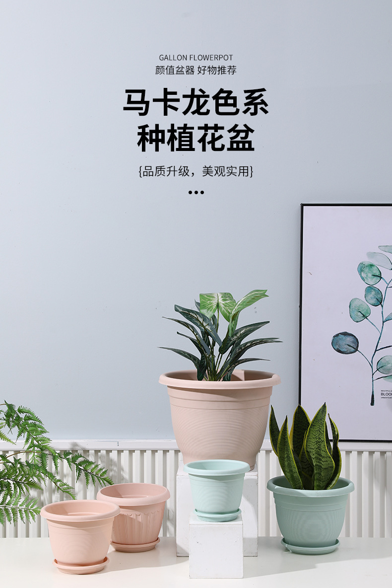 新款马卡龙pp树脂花盆控根深大号塑料仿陶瓷绿萝加仑盆北欧简约盆详情8