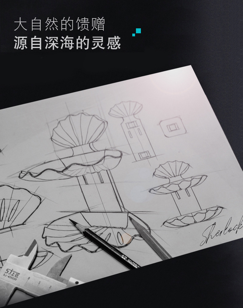 35823贝壳沥水肥皂盒免打孔创意浴室置物架卫生间香皂盒收纳架详情2