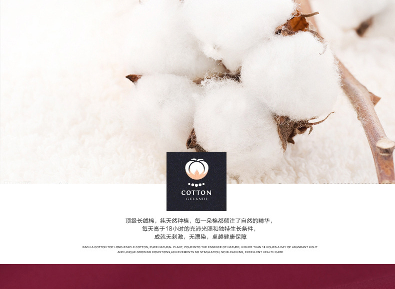 绣标夏季薄款弹力【高棉贡缎】钻扣商务男装时尚休闲男式长袖详情4