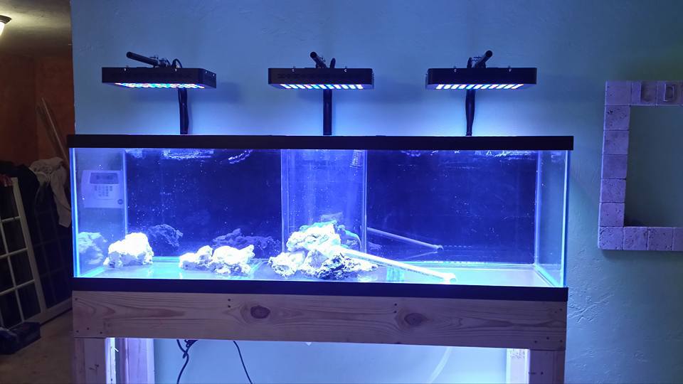 165W aquarium lamp, dimmable, Marine tank, coral aquatic plant lamp, fish tank lighting, full-spectrum Marine coral fish tank pic 22