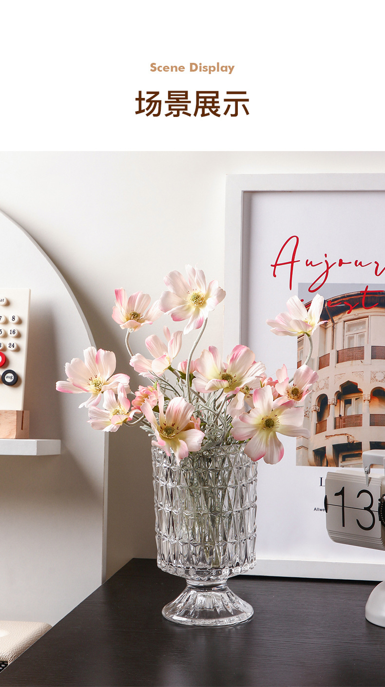 贝汉美轻奢透明玻璃花瓶摆件客厅高颜值ins水培插花网红简约花器工艺品详情9
