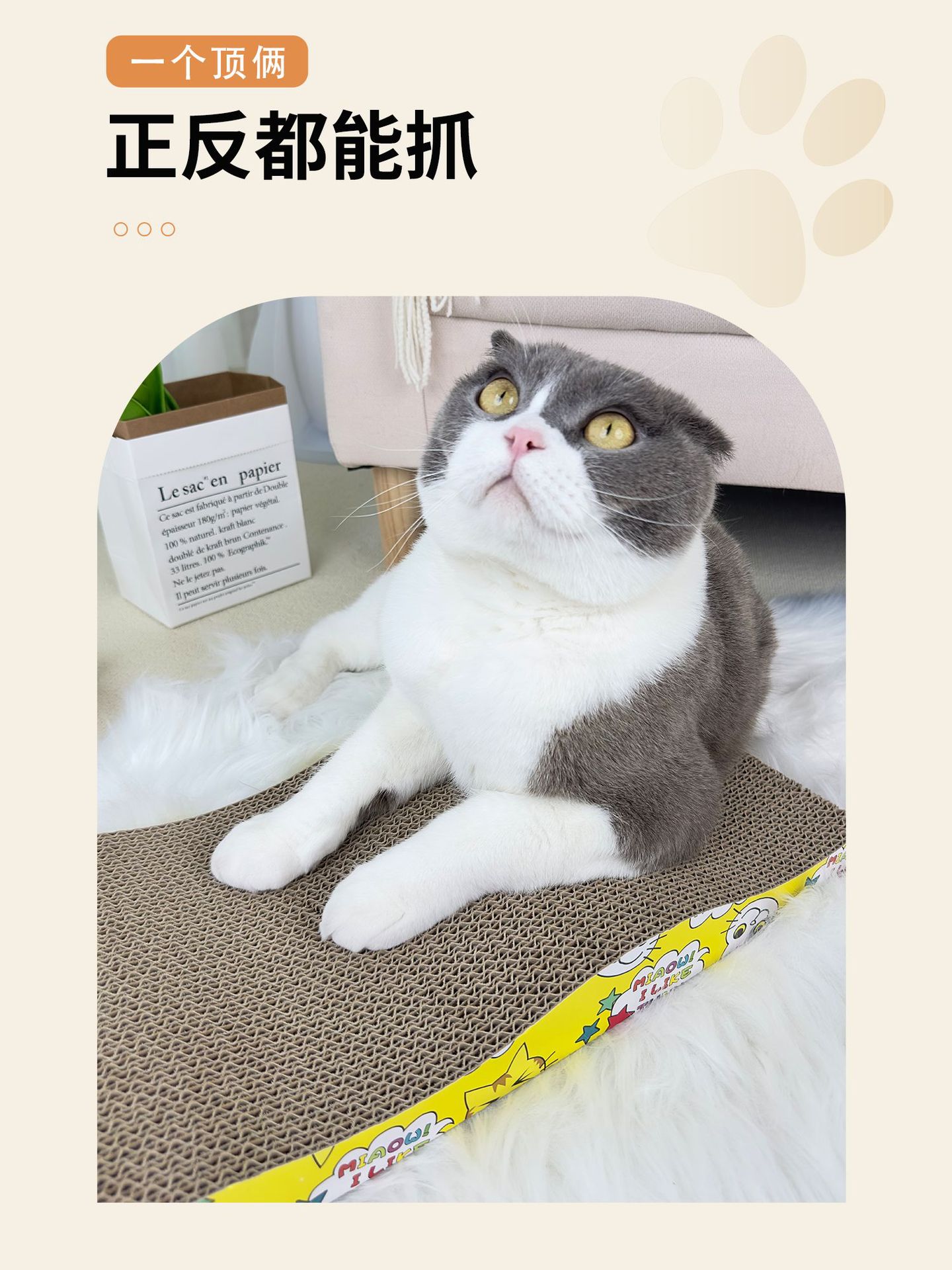 Productos para mascotas placa rascador de gato plana papel corrugado resistente al rascador resistente a la abrasión garra positiva y negativa doble uso no se caen chips tipo cuadrado versión de papel ambiental pic 2