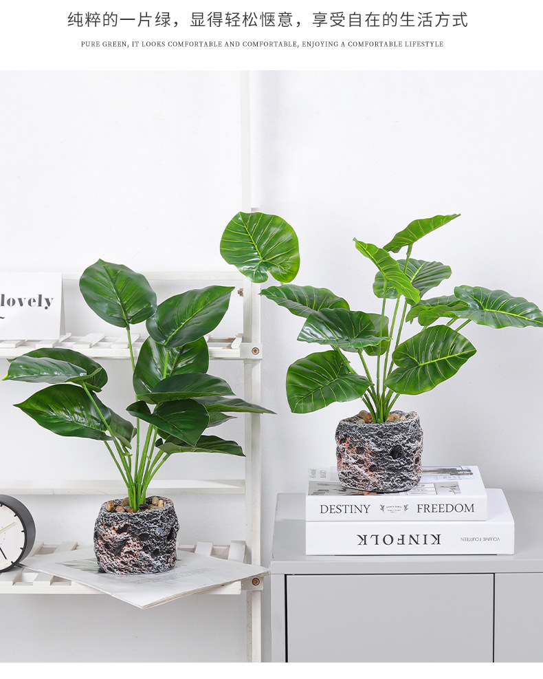 Nordic InS-style simulated pothos and turtle-back leaf potted plants, living room desktop simulated green plant potted plants, home decoration ornaments simulated potted plants pic 9